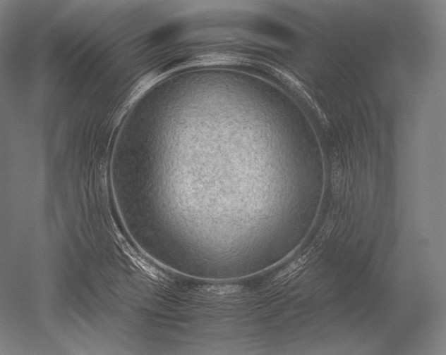 X0000052561417200507081624