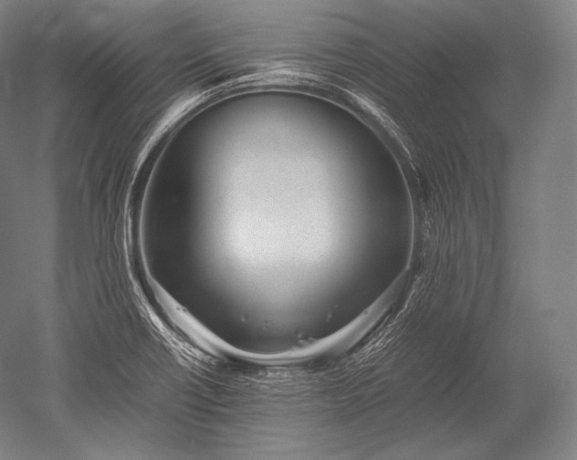 X0000052561418200507081624