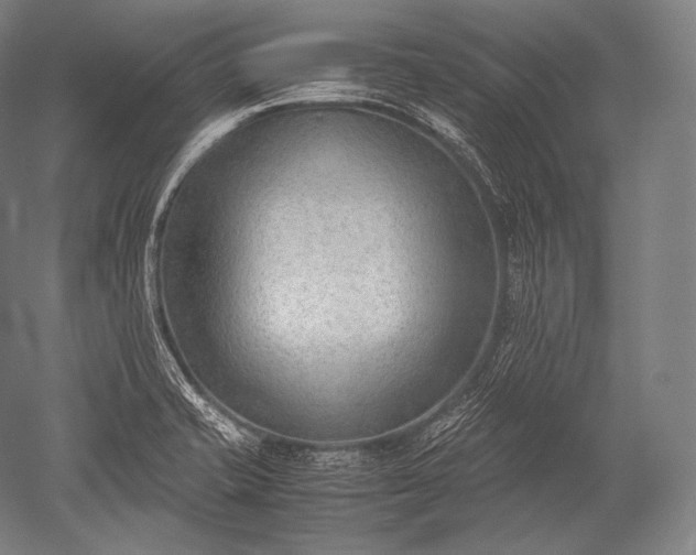 X0000052561421200507081624