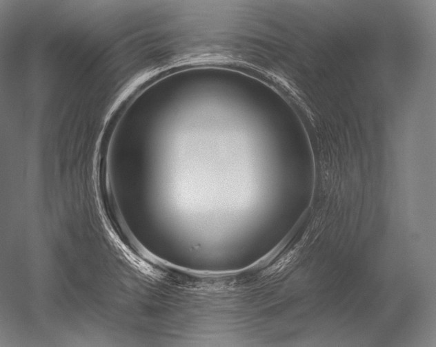 X0000052561422200507081624
