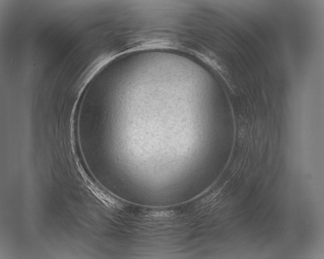 X0000052561423200507081624