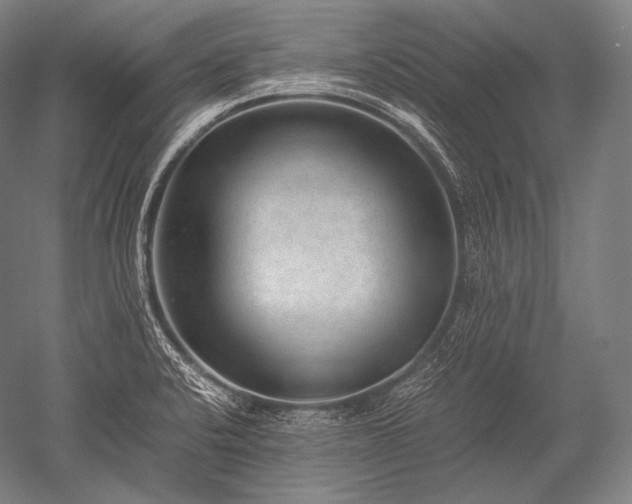X0000052561424200507081624