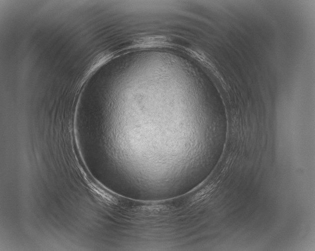 X0000052561425200507081624