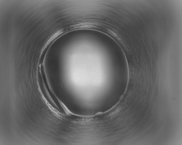 X0000052561426200507081624