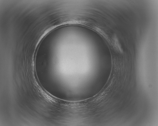 X0000052561428200507081624