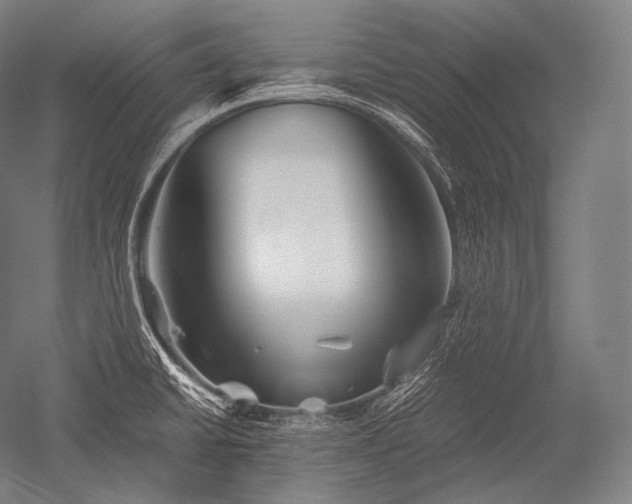 X0000052561430200507081624