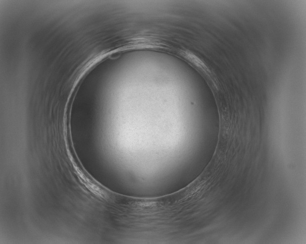 X0000052561431200507081624