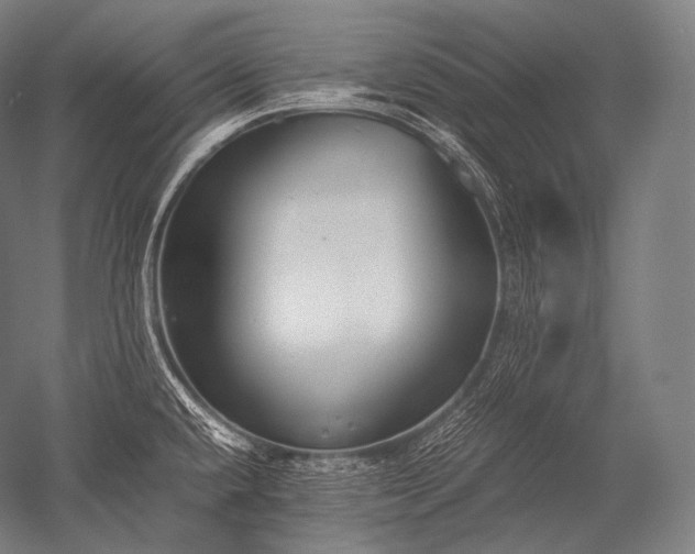 X0000052561432200507081624