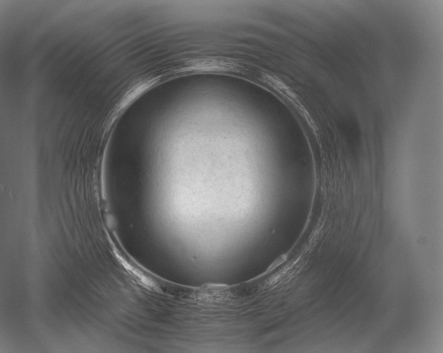 X0000052561433200507081624