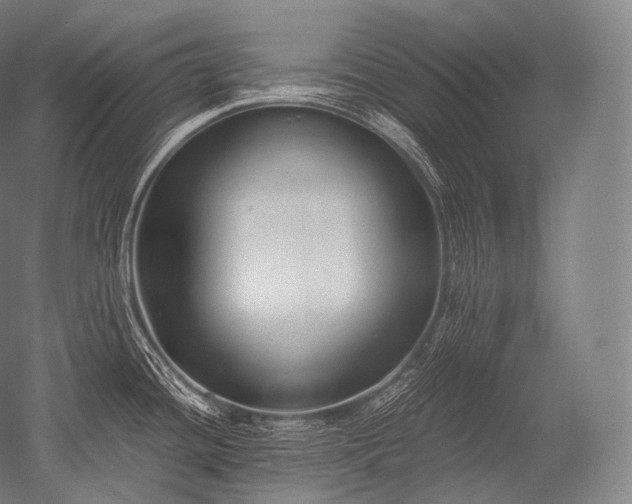 X0000052561436200507081624