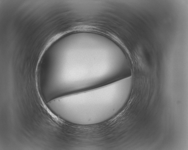 X0000052561437200507081624