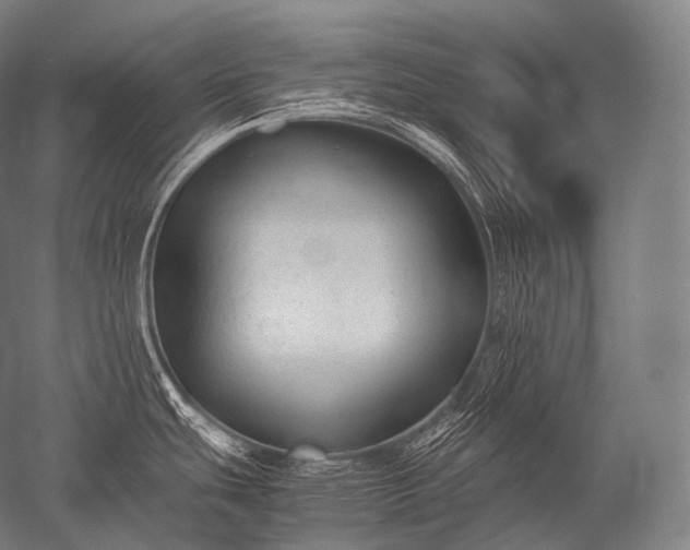 X0000052561439200507081624