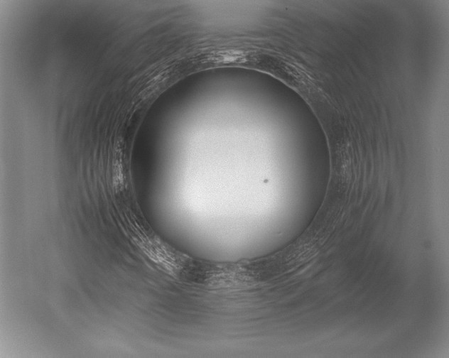 X0000052561442200507081623