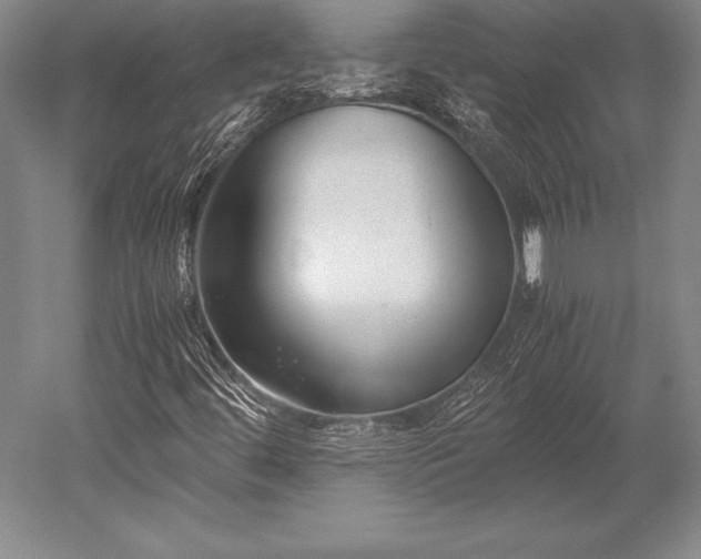 X0000052561444200507081623