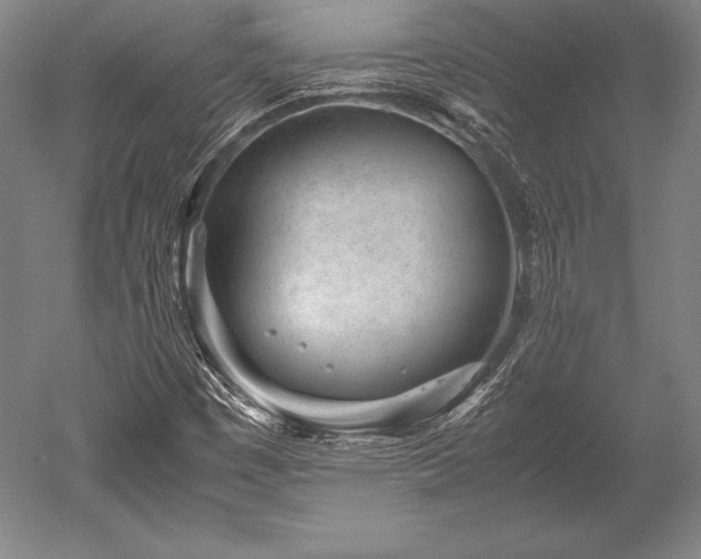 X0000052561449200507081623