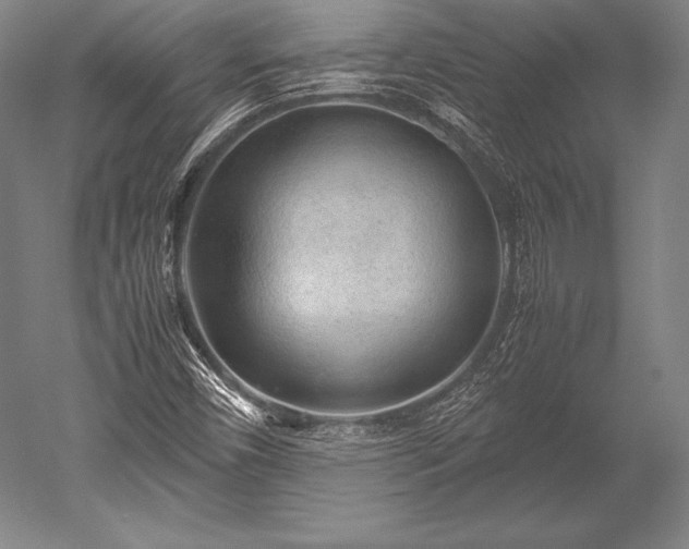 X0000052561450200507081623