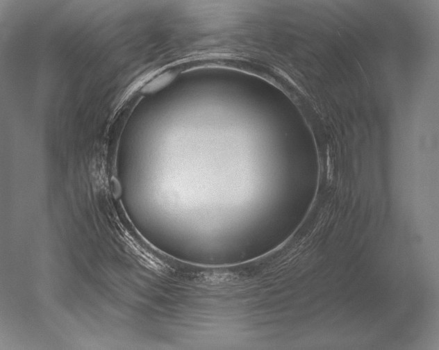 X0000052561452200507081623
