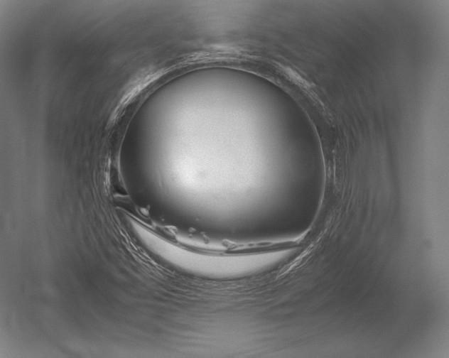X0000052561453200507081623