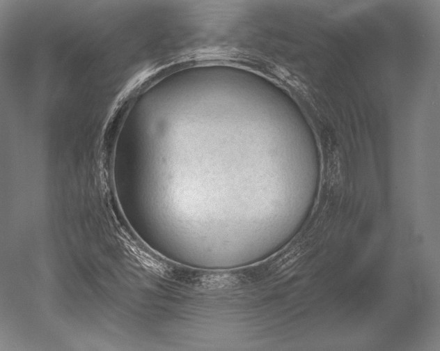 X0000052561454200507081623