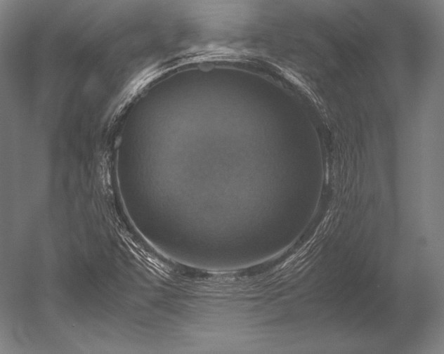 X0000052561455200507081623