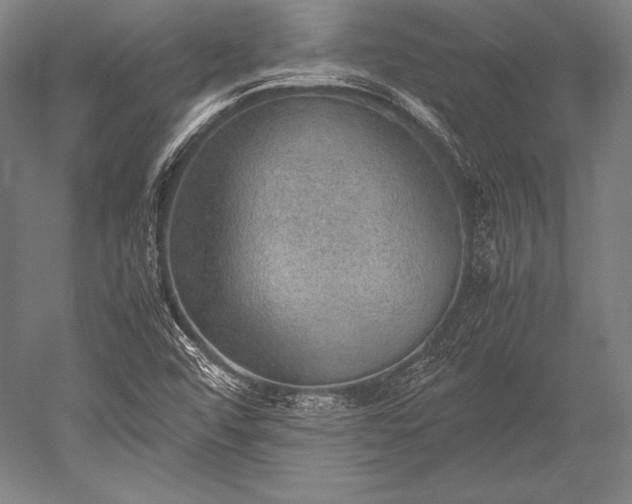 X0000052561456200507081623
