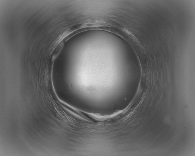X0000052561457200507081623