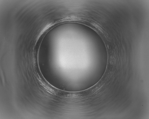 X0000052561458200507081623
