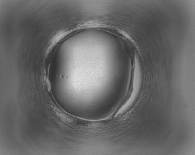 X0000052561461200507081623
