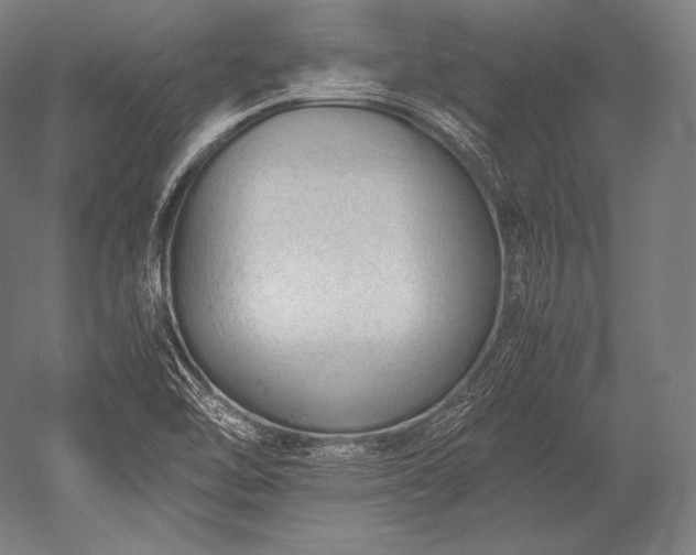X0000052561462200507081623
