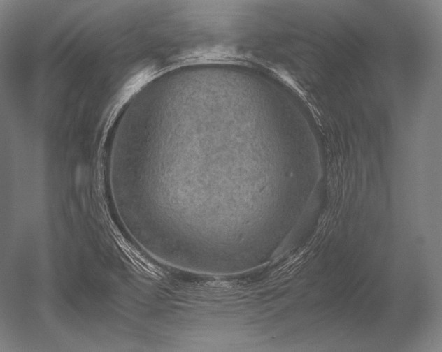 X0000052561463200507081623