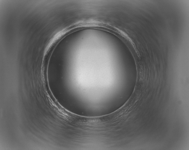 X0000052561464200507081623