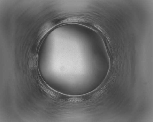 X0000052561465200507081623