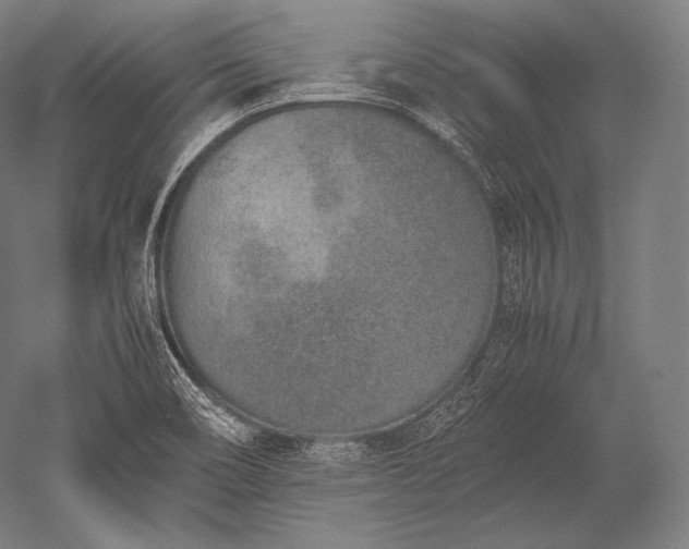 X0000052561466200507081623