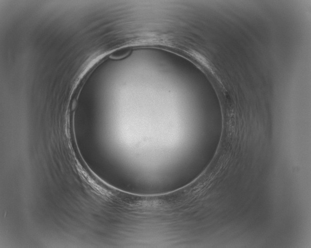 X0000052561468200507081623