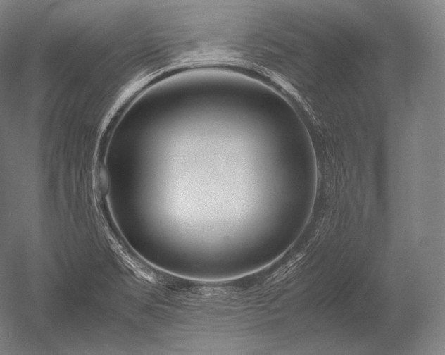 X0000052561469200507081623