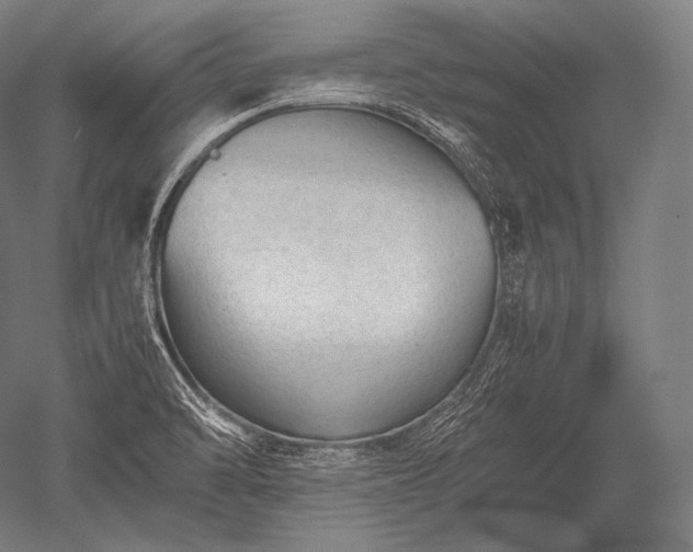 X0000052561470200507081623