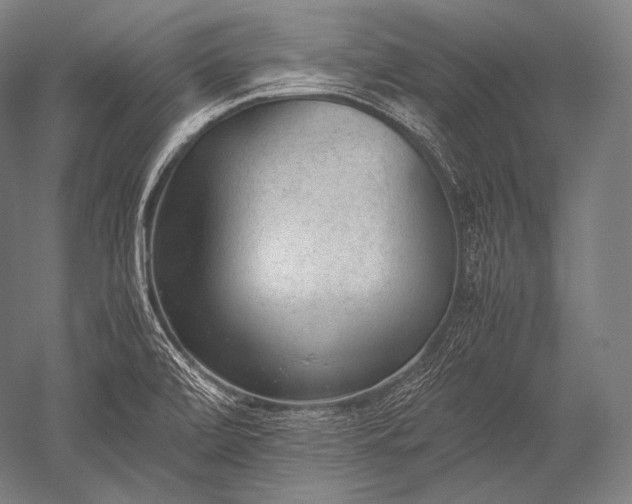 X0000052561472200507081623