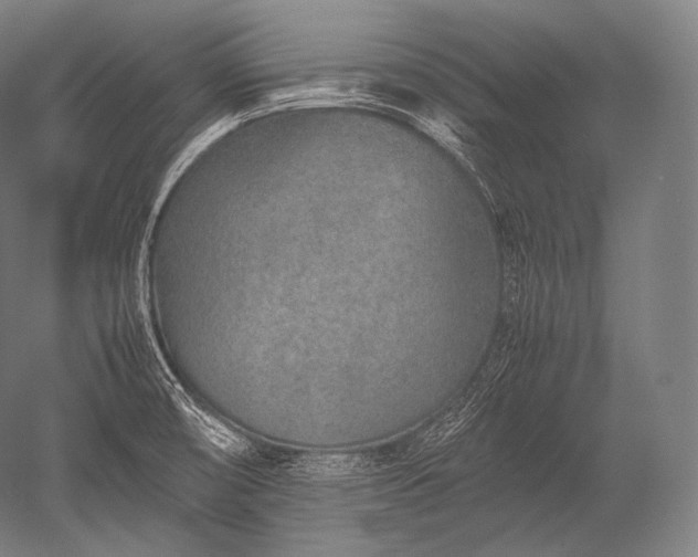 X0000052561474200507081623