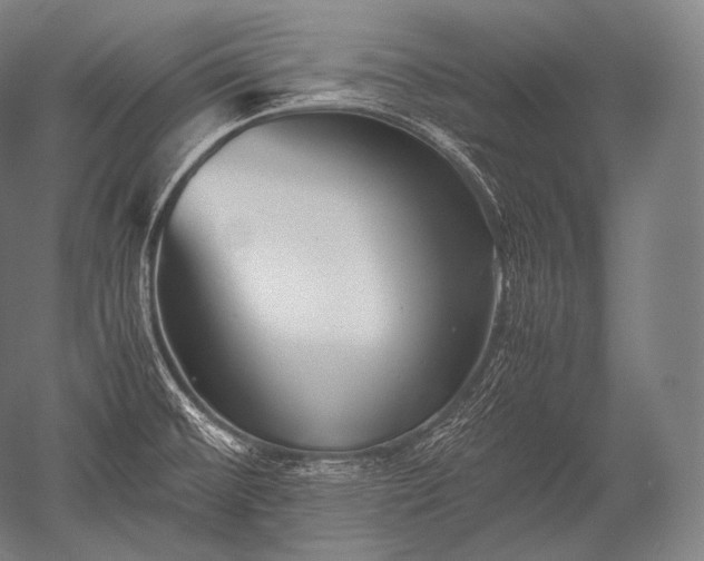 X0000052561476200507081623