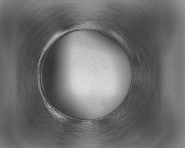 X0000052561478200507081623