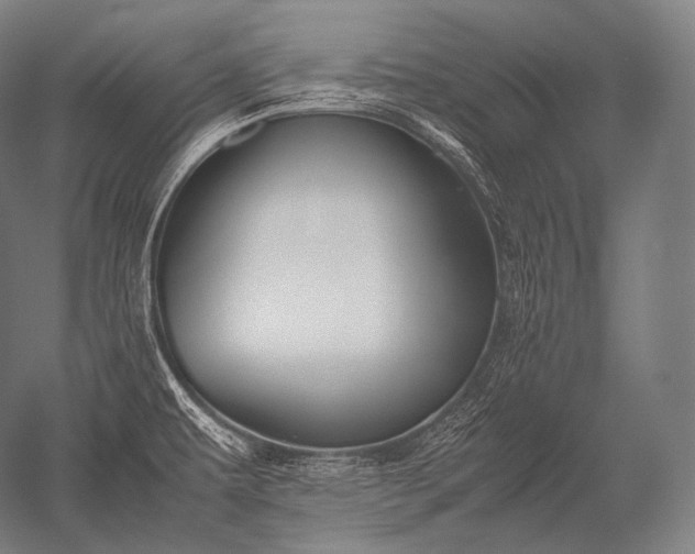 X0000052561479200507081623