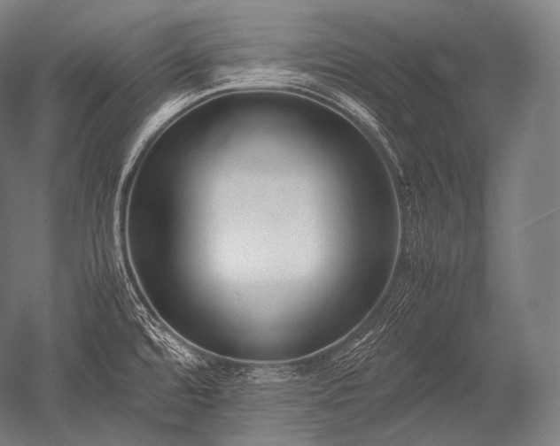 X0000052561480200507081623