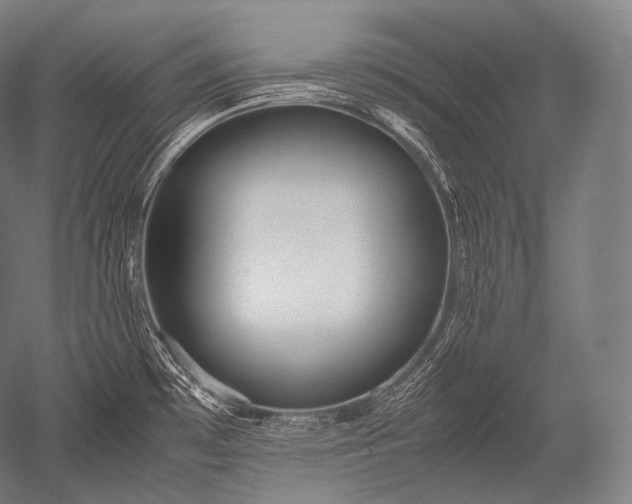 X0000052561481200507081622