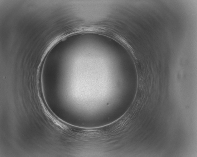 X0000052561483200507081622