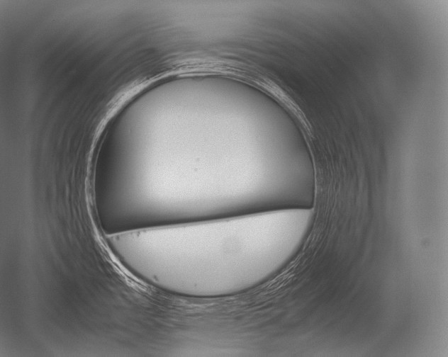 X0000052561485200507081622