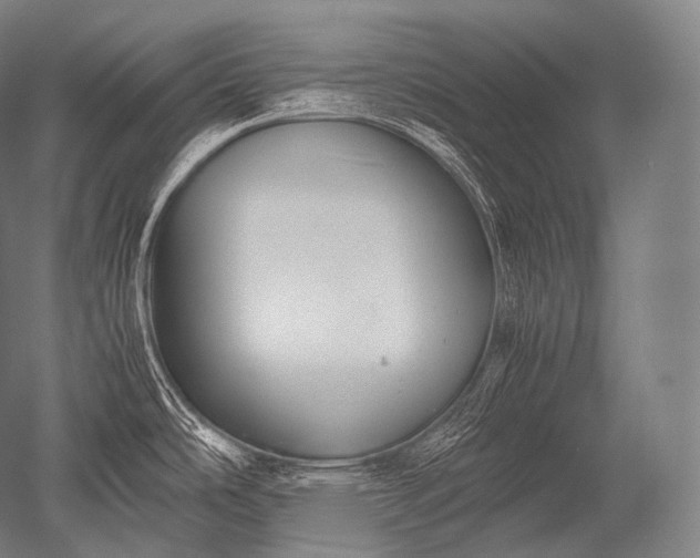 X0000052561486200507081622