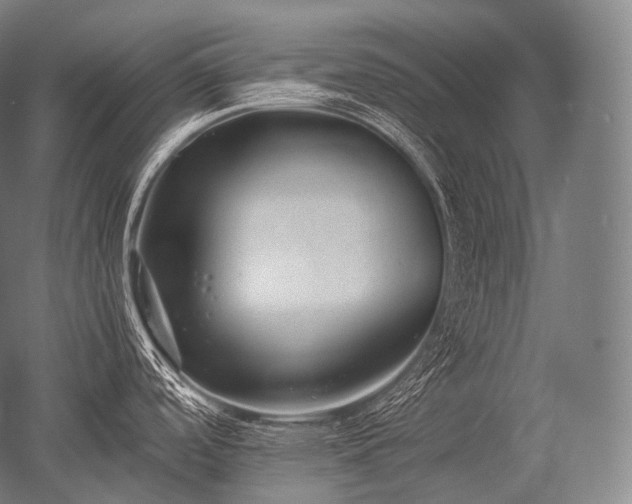 X0000052561488200507081622