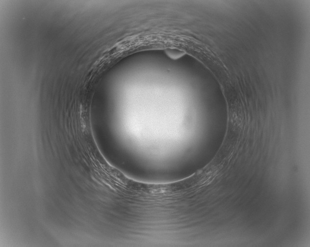 X0000052561490200507081622