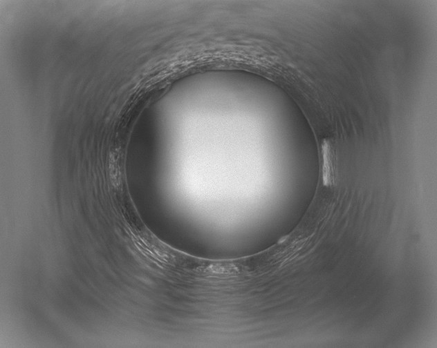 X0000052561491200507081622