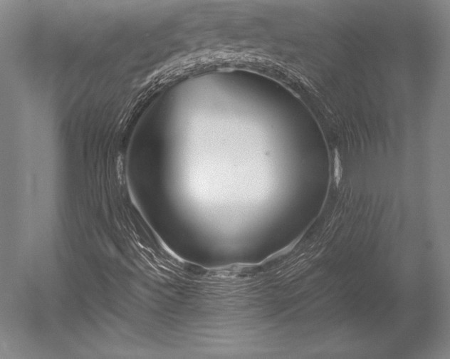X0000052561492200507081622